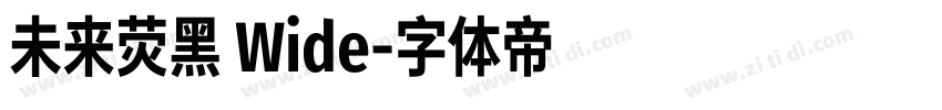 未来荧黑 Wide字体转换